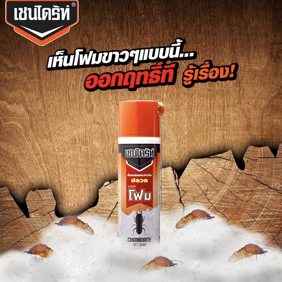 Chai xịt Mối CHAINDRITE Foam 600g Thái Lan