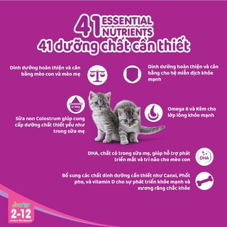 HẠT MÈO CON WHISKAS 450G