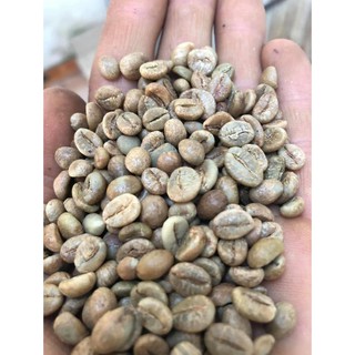 Cà phê Robusta Hảo Hạng Vườn rừng DAKLAK