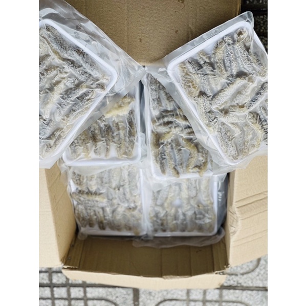 Hải Sâm gai  - Giá sỉ rẻ nhất