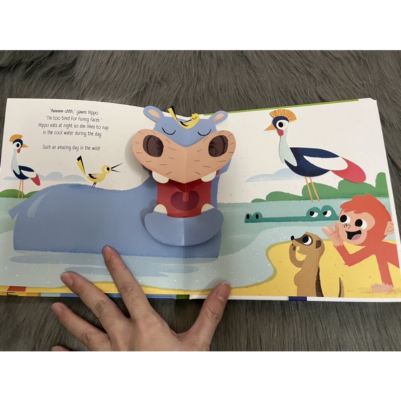 MY POP-UP ADVENTURES IN THE WILD