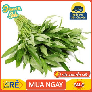 Gói 100g hạt giống rau muống lá tre Việt Nam [hàng chất lượng]