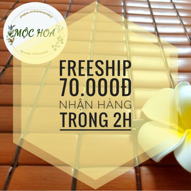 CHIẾU TRE HỮU CƠ 1M8 x 1M9
