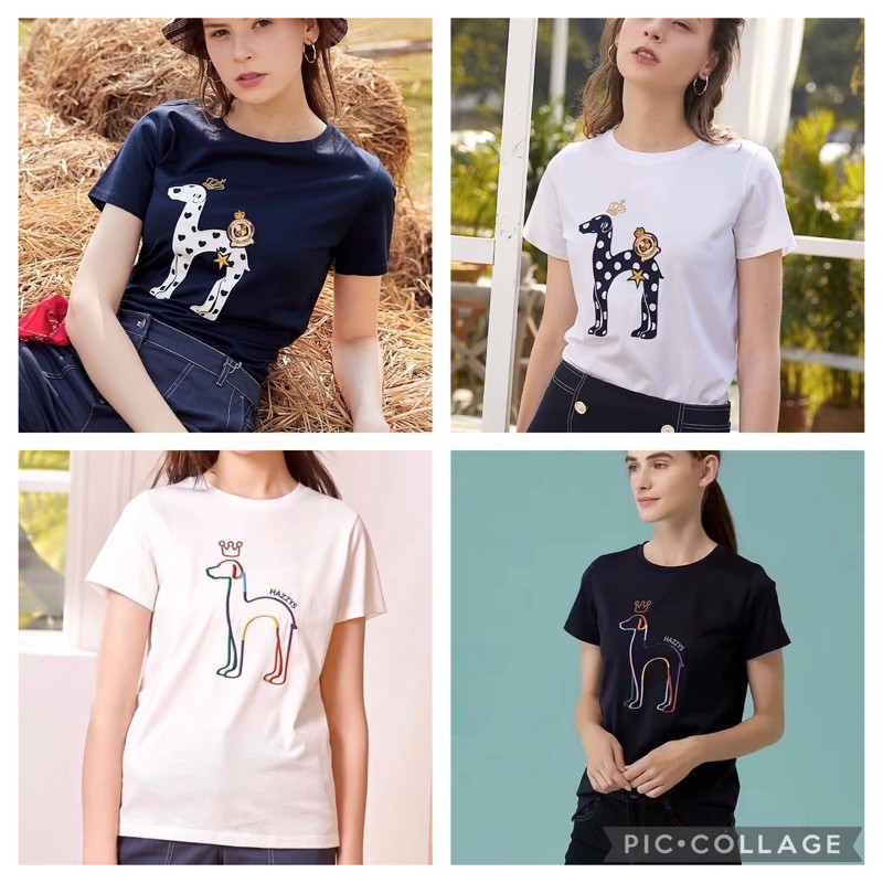 Áo phông nữ Hazzys 🥇Áo thun cotton cao cấp xuất khẩu
