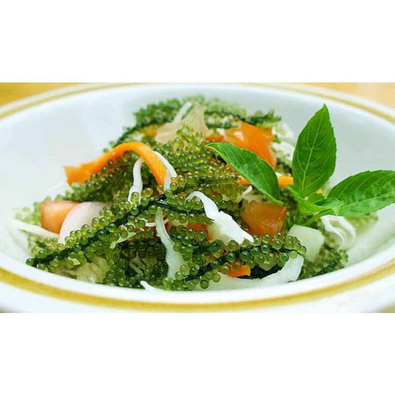 1kg Rong nho tươi hàng mới hàng ngày