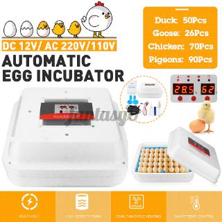 70 Máy Ấp Trứng Tự Động Có Đèn Led