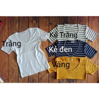 ÁO BODY CỔ TIM LEN TĂM