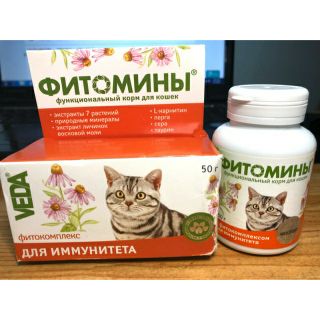 VEDA tăng miễn dịch, đề kháng cho mèo