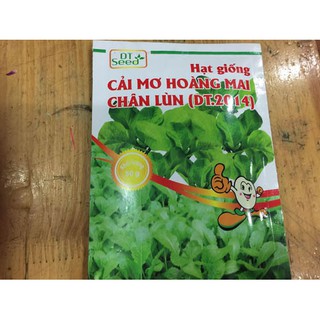 Hạt giống Cải mơ hoàng mai chân lùn 1kg - Rau củ quả trồng tại vườn, sân thượng, nông trang, ban công