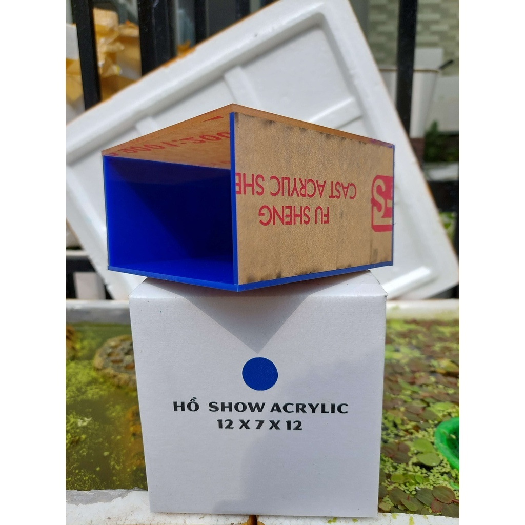 Bể show cá, Keo show, Bể cá mini acrylic, Bể cá Mica