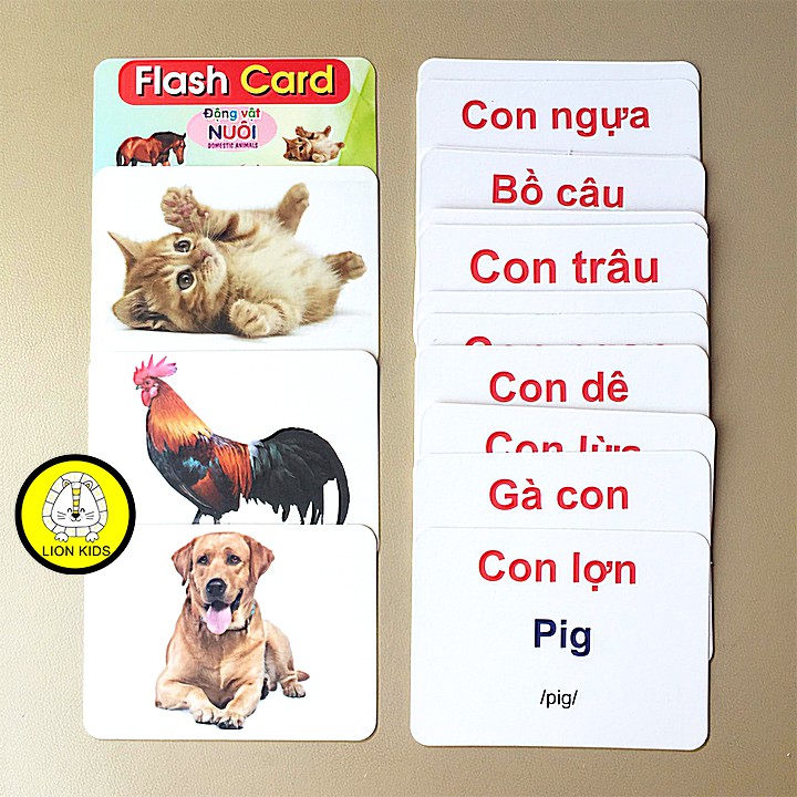 Bộ Thẻ Học Thông Minh Cho Bé 19 Chủ Đề Thẻ Học Glenn Doman Loại To Song Ngữ Flashcard Tiếng Anh