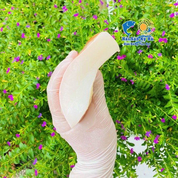 Giá Sỉ - Mực Lá Đại Dương Cắt Lát - Giá Sỉ Rẻ Nhất