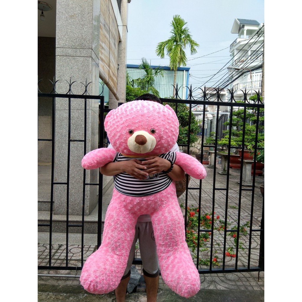 GẤU TEDDY 1M1