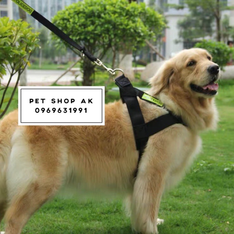 Đai dắt yếm police dog logo phản quang cho chó vừa và to c