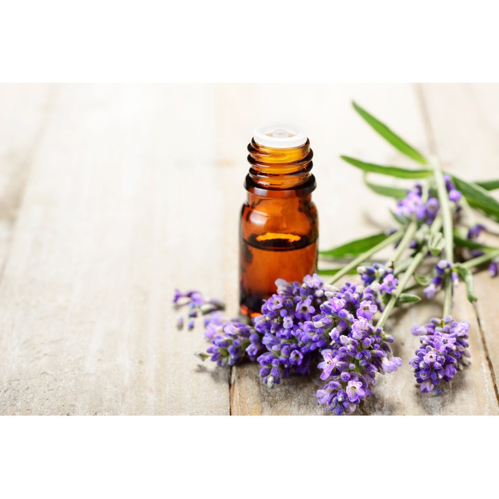 Tinh Dầu Oải Hương Thiên Nhiên thanh lọc không khí, kháng khuẩn, chống viêm Lavender Essential Oil AloAroma