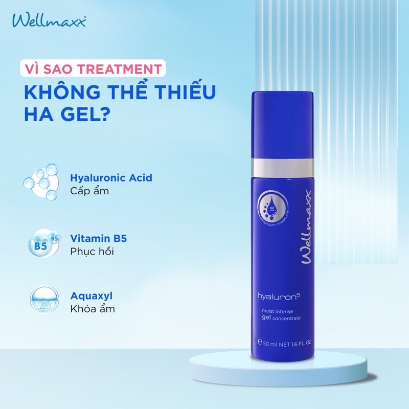 Gel dưỡng ẩm chuyên sâu HA Wellmaxx Hyaluron Moist Intense Gel Concentrate 50ml
