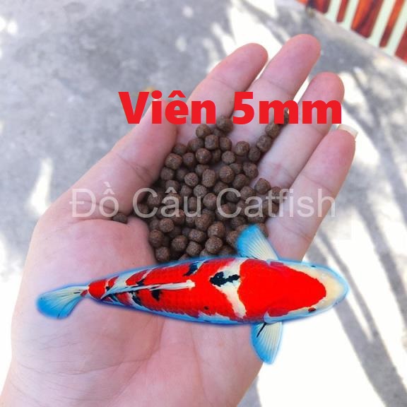 1Kg Thức Ăn Cá Cargill( Hạt 3mm-5mm) dùng cho cá chép,cá koi,cá cảnh.. Tăng Trọng,lên màu nhanh -Cám cá cargill