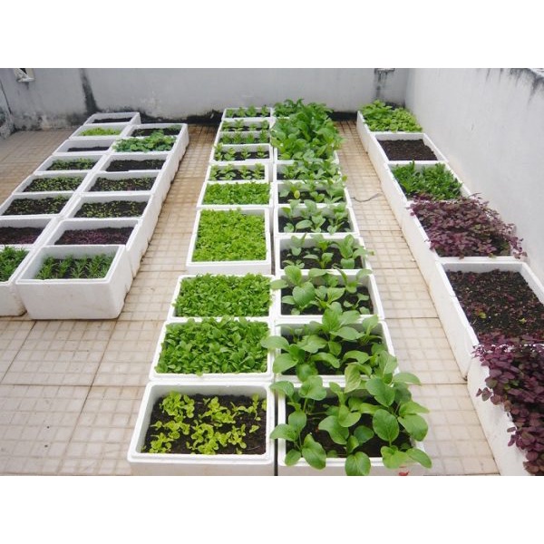 Phân bón Sông Gianh, dạng mùn, gói 2kg, cho đất tơi xốp, lá mướt