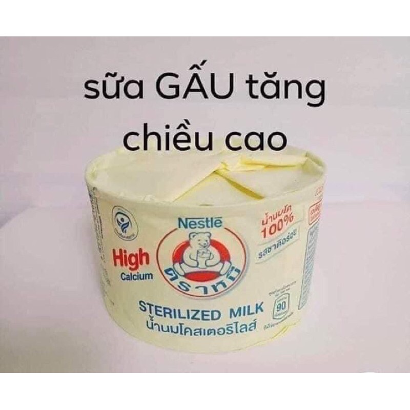 LỐC 12 HỘP SỮA TƯƠI GẤU NESTLE THÁI LAN