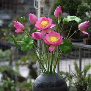 Hoa Sen trang trí đất sét