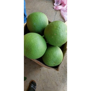 Bưởi da xanh ruột đỏ