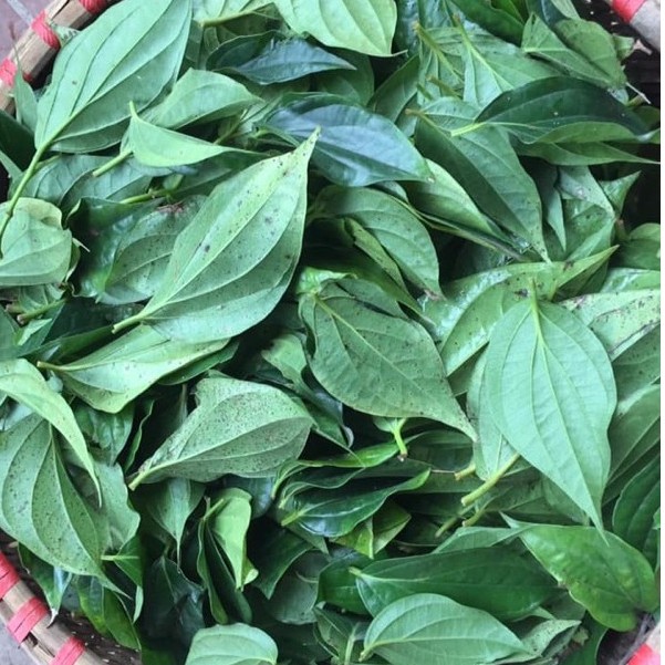 100gr Bột lá trầu không vườn trồng sạch xông hơ, đắp mặt nạ chăm sóc mẹ sau sinh