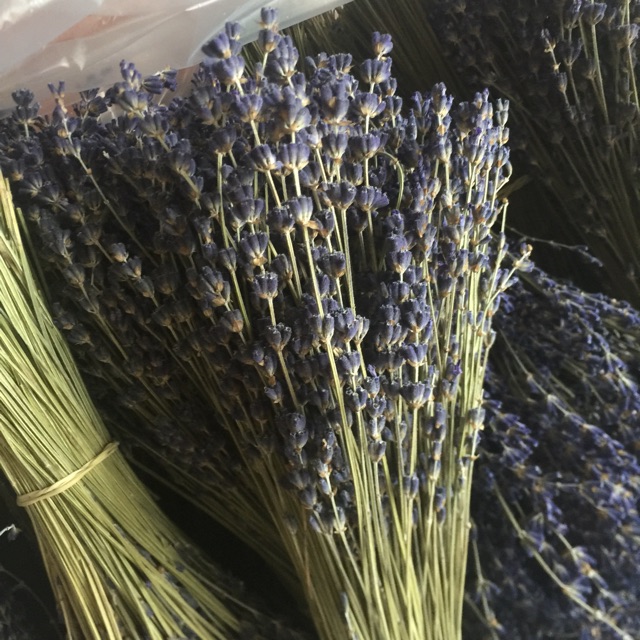 Bó hoa khô lavender