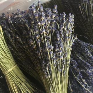 Bó hoa khô lavender