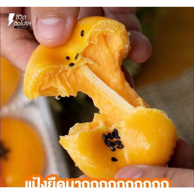 Bánh trứng muối chảy ,Ovaltine Thái Lan