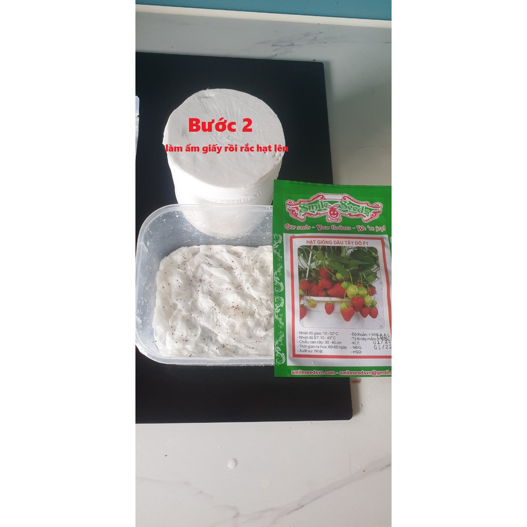 Hạt giống Cà Bát Tím - 1gram