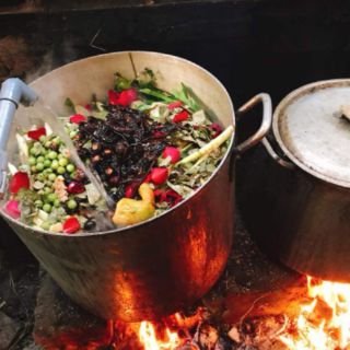 DẦU GỘI THẢO DƯỢC