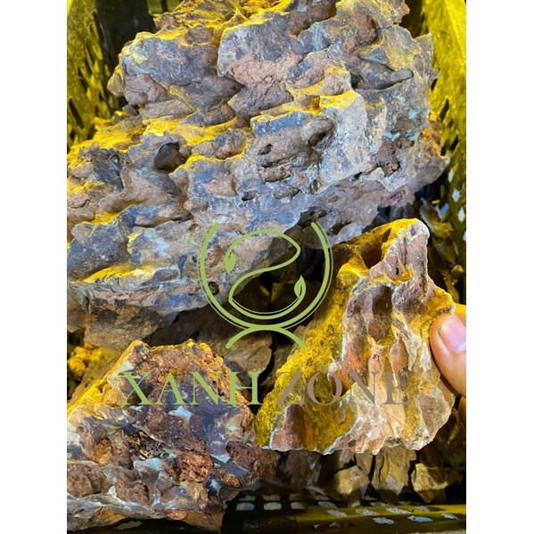 Đá tiger set hồ cá,  thủy sinh,  bán cạn, non bộ Mua 10 tặng 1