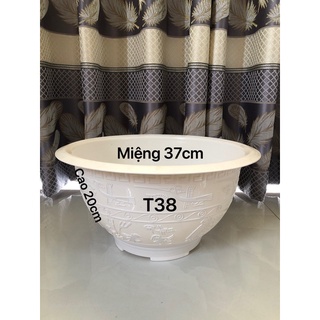 Chậu nhựa trồng cây t38 màu trắng 36x20