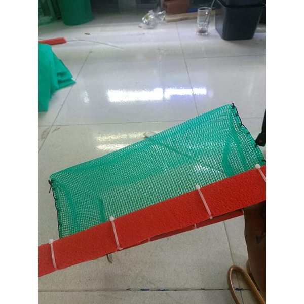 Lồng đẻ cho guppy đủ kích thước