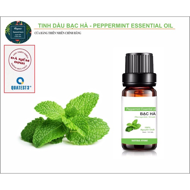 Tinh Dầu Bạc Hà 10ML 100% Nguyên Chất Organic - Chai nhỏ giọt [ Peppermint Essential Oil ]