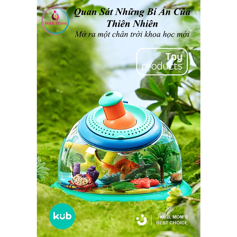 Hộp Quan Sát Sinh Vật, Côn Trùng - KUB