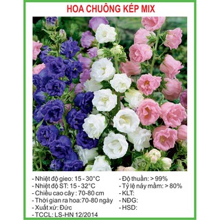 Hạt Giống Hoa chuông kép Mix 50 Hạt/ Gói
