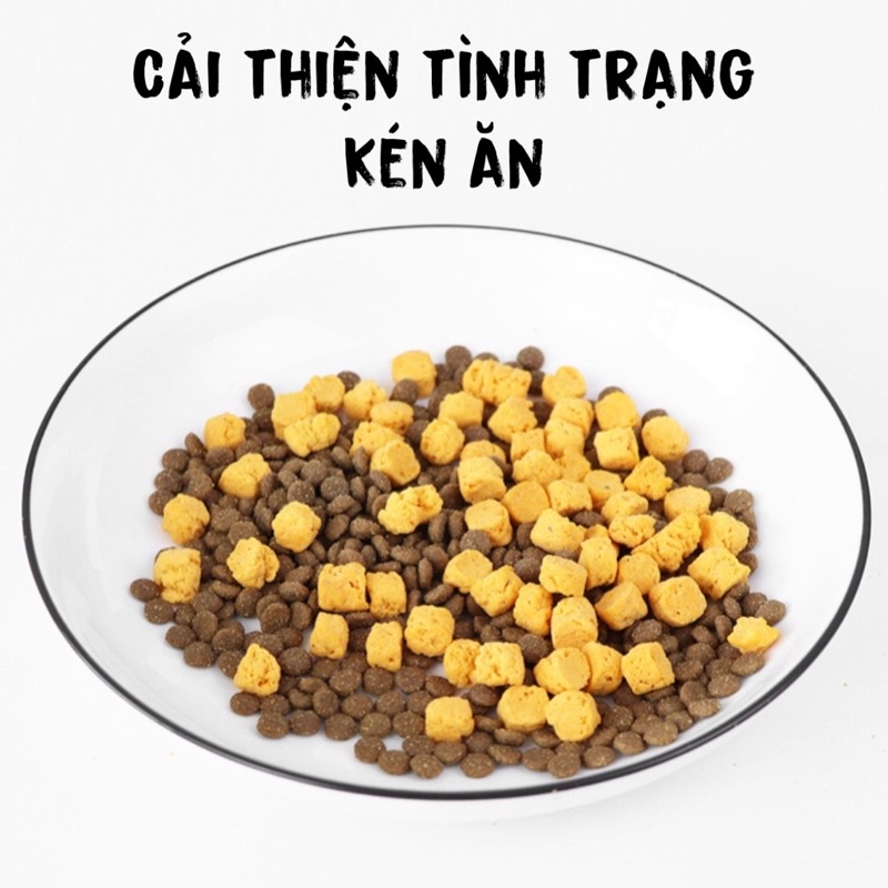 Bánh thưởng dinh dưỡng cải thiện lông, hỗ trợ kén ăn cho chó mèo @