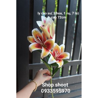 HOA LILY CAO SU TRANG TRÍ NHÀ