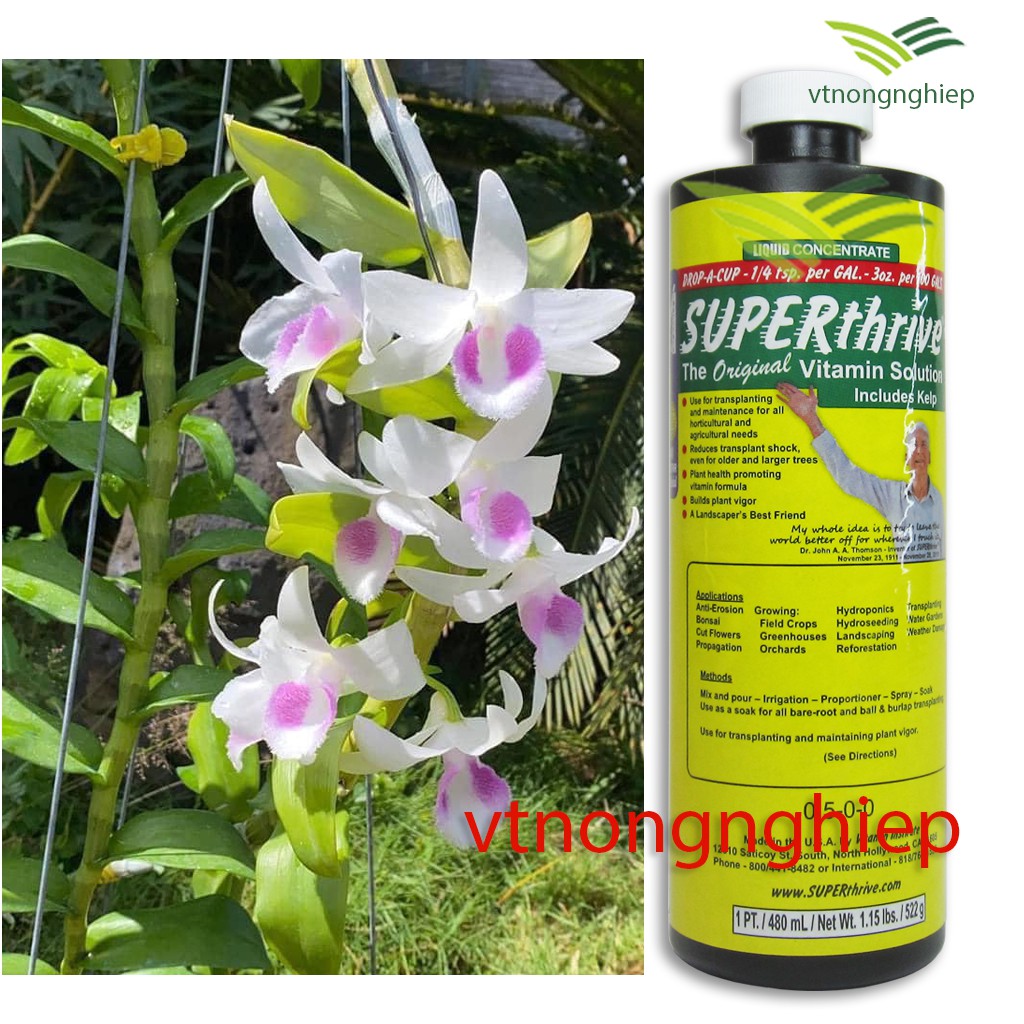 Superthrive kích thích tăng trưởng bổ sung 50 hormon, phá vỡ sự chậm phát triển của cây, mau ra rễ, chồi, hoa, hoa lan