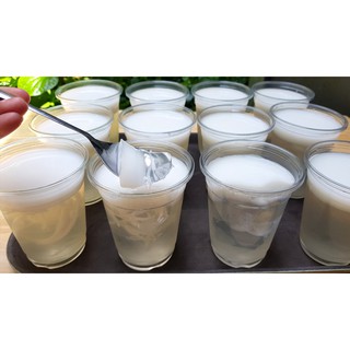 Bột rau câu con cá dẻo 12 gram