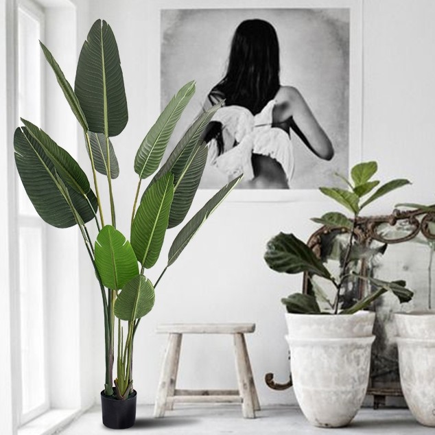 Cây chuối cảnh giả trang trí bằng nhựa 1m6 - Jassi Decor
