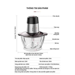MÁY XAY THỊT RANBEM
