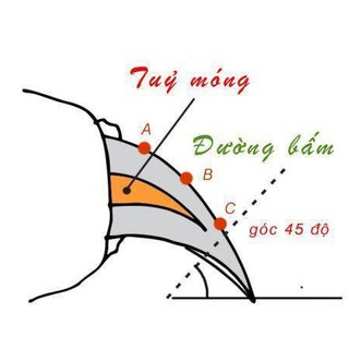 Kềm Cắt Móng Cho Chó Mèo Thú Cưng
