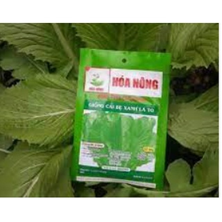 Cải bẹ xanh lá to - hóa nông - bonbon