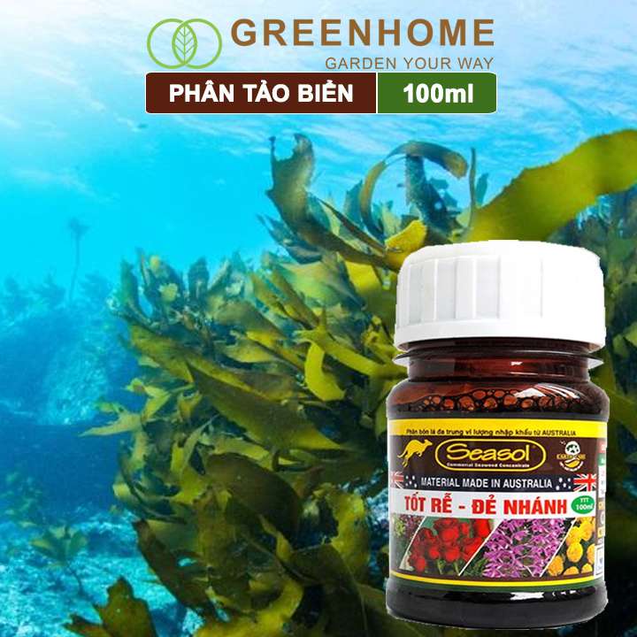 Phân bón lá tảo biển Greenhome, chai 100ml, làm từ tảo biển, tốt rễ, kích đẻ nhánh nhiều, cành to