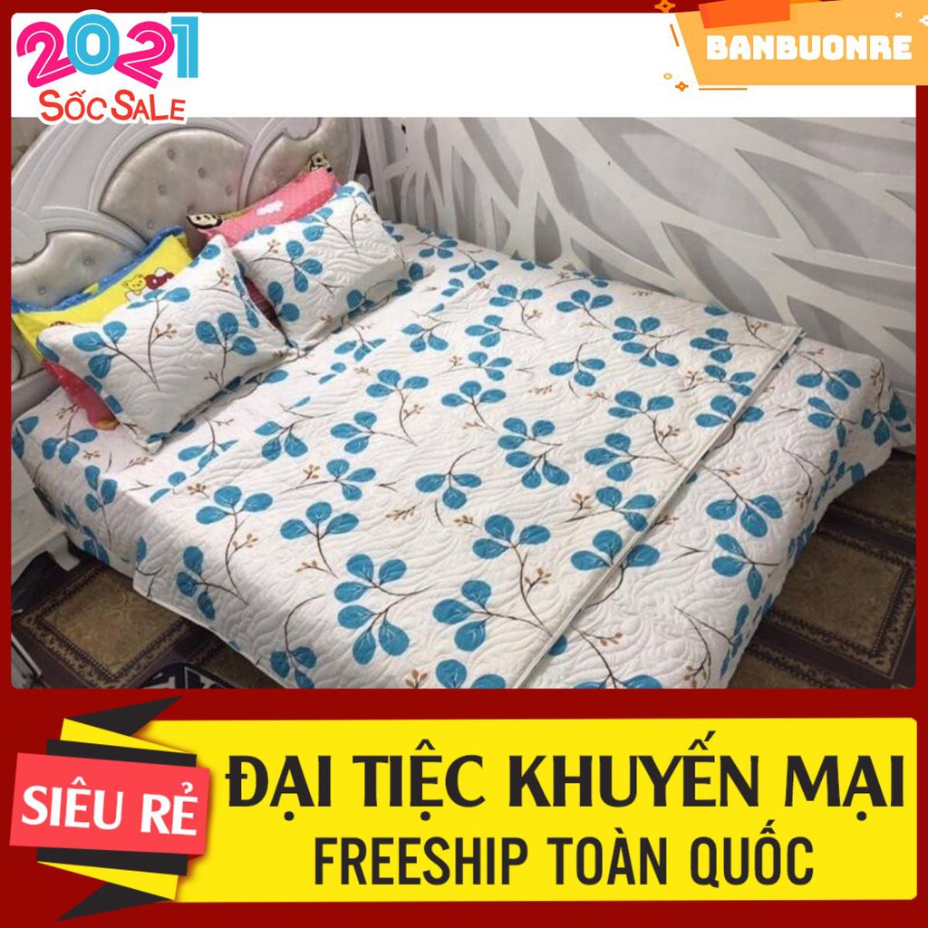 BBR Chăn hè trần bông poly cỏ ba lá