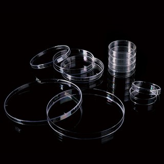 Đĩa petri 35x15mm tiệt trùng - Túi 10 cái