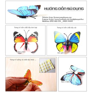 BƯỚM 3D TRANG TRÍ (có nam châm)