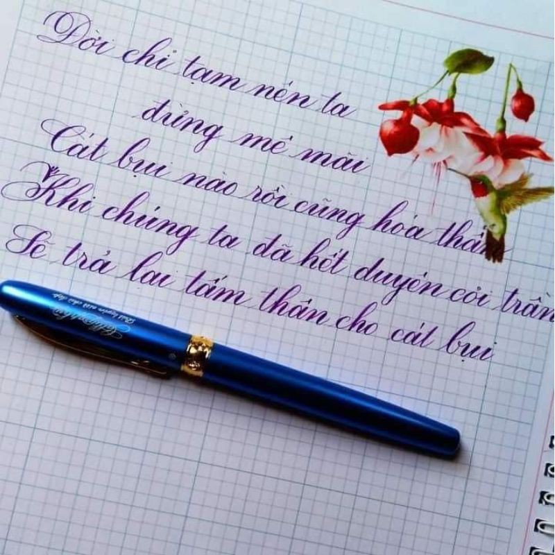 Bút ngòi lá tre luyện chữ đẹp 862